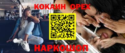 гашик Донской