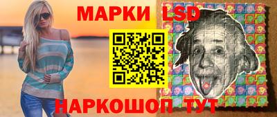 гашик Донской