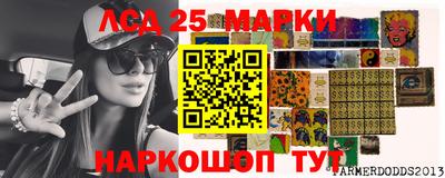 гашик Донской