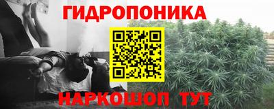 гашик Донской