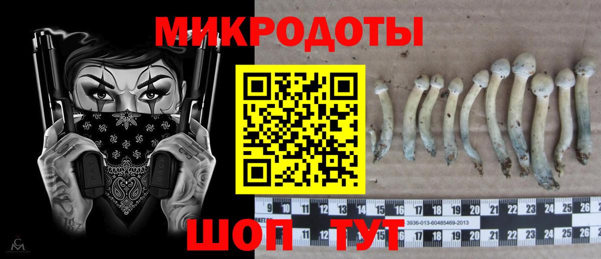 Галлюциногенные грибы мицелий  Псилоцибиновые грибы ЛСД  Вход с VPN  Мирный 